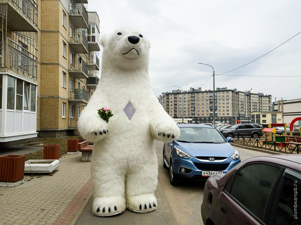 белый медведь дарит цветы