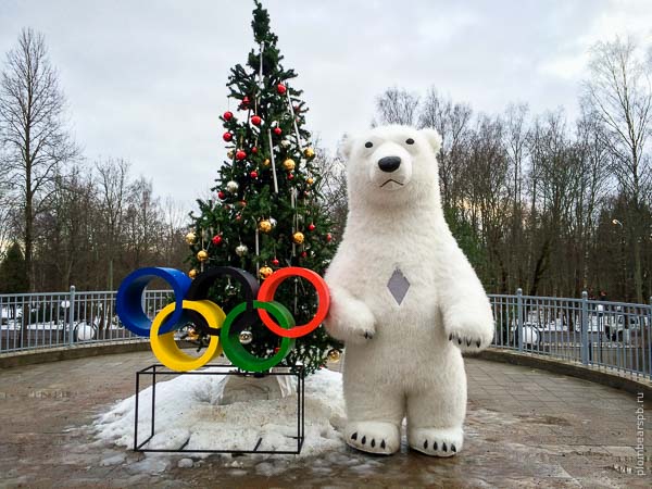 Белый медведь на олимпиаде в Спб Петербурге Питере