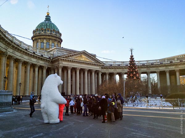 белый медведь около Казанского собора