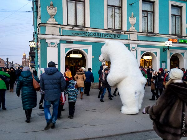 белый медведь около метро невский проспект