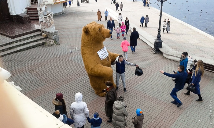 Огромный бурый медведь в центре Севастополя